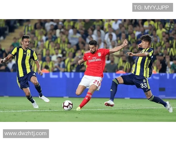 法马利康与本菲卡对决前瞻分析及比赛结果预测