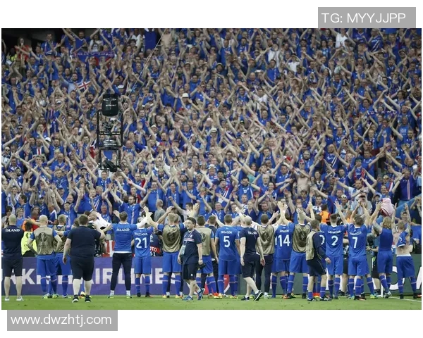 葡萄牙与冰岛足球赛首发阵容分析及战术布局探讨