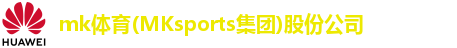 mk体育(MKsports集团)股份公司